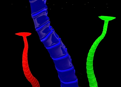 stephana shan - colonne RVB 01